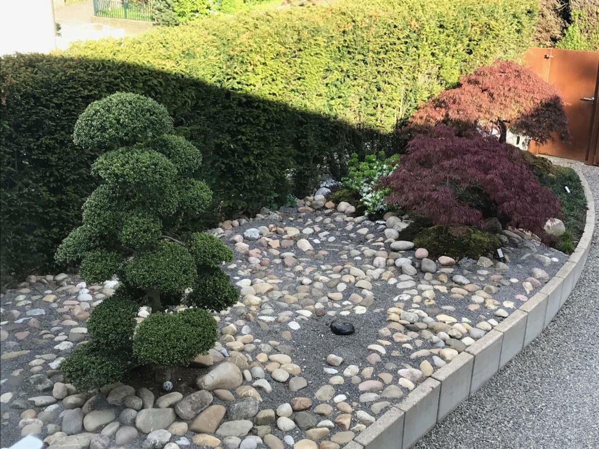 Modernes Studio Auf Der Sonnenterrasse Baden-Baden Ngoại thất bức ảnh